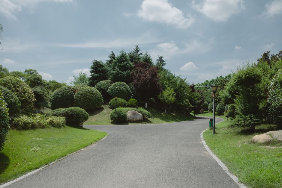 A minimalist photo showing a single path splitting into two distinct directions in a serene, open landscape, representing the choice between platform dependency and direct bookings.